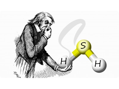 Коварство H₂S: почему нос «врёт», а индикаторные трубки — нет